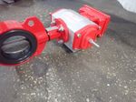 Bray Actuated Butterfly Valve