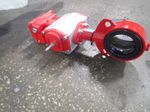 Bray Actuated Butterfly Valve