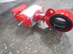 Bray Actuated Butterfly Valve