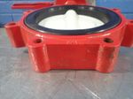 Bray Butterfly Valve