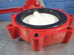 Bray Butterfly Valve