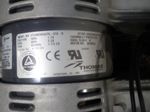 Thomas Vaccum Pump