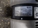 Thomas Vaccum Pump