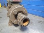 Ebara  Pump