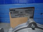 Asco Shut Off Valve