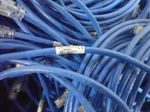 Anatel Ethernet Cables