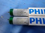 Phillips Flourescent Lamps