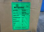 Motovario Motor