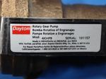 Dayton Rotary Gear Pump