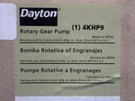 Dayton Rotary Gear Pump
