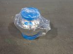 Dixon Clamp Check Valve