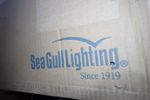 Seagull Lighting Light Fixture