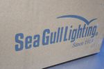 Seagull Lighting Light Fixture