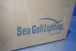 Seagull Lighting Light Fixture