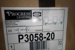 Progress Lighting Light Fixture