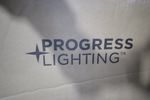 Progress Lighting Light Fixture