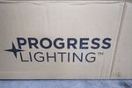 Progress Lighting Light Fixture