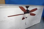 Fanimation Ceiling Fan