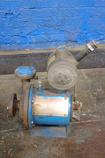 Crane Sealless Pump