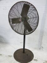 Action Air Pedestal Fan