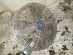 Patton Wall Mount Electric Fan