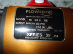 Flowserve Actuator