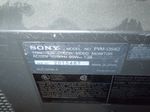 Sony Video Monitor
