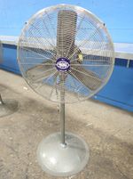 Global Pedestal Fan