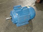 Weg Motor