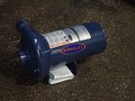 Berkeley Pump