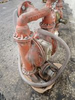 Wilden Diaphragm Pump