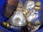  Light Bulbs 