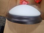 Generation Lighting Light Fixture