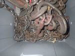  Hoist Chain
