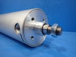 Flairline Pneumatic Cylinder