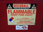 Securall Flammable Liquids Cabinet