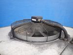 Riedel Chiller