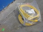 Turck Connector Cable