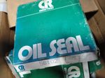  Oil Seals