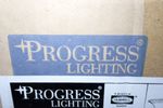 Progress Lighting Light Fixture