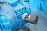 Wilden Diaphragm Pump