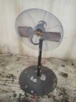Dayton Electric Pedestal Fan