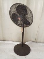Dayton  Pedestal Fan 