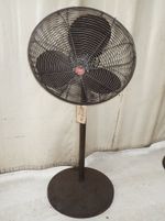 Dayton  Pedestal Fan 