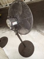 Dayton  Pedestal Fan 
