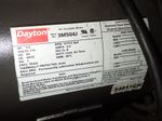 Dayton  Pedestal Fan 
