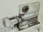 Leybold Vacuum Pump