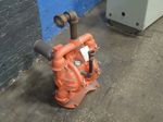 Wilden Diaphragm Pump