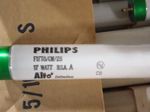 Philips Flourescent Lamps