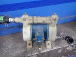  Diaphragm Pump